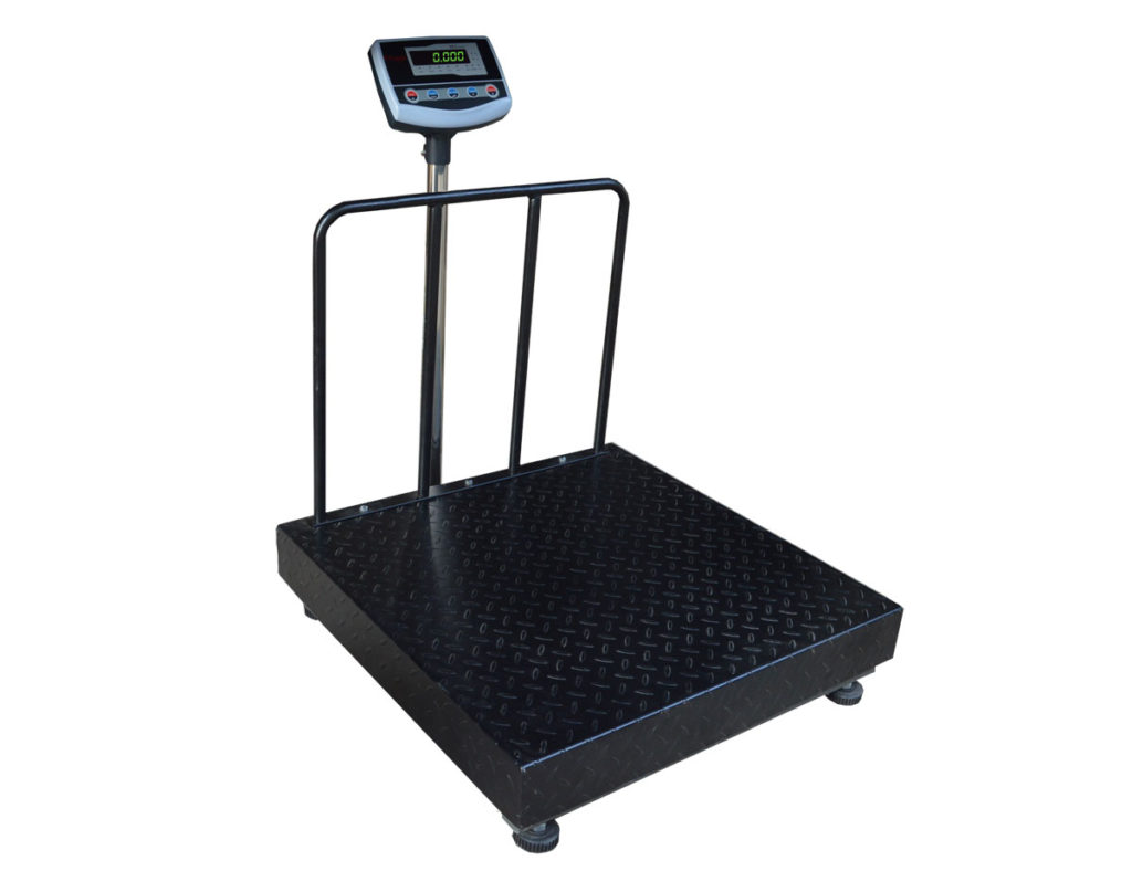 econ series platform scale 1